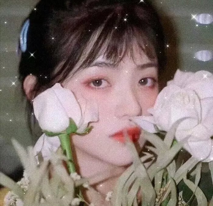 大象女王